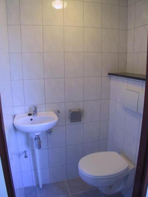 Lepelblad 41* *